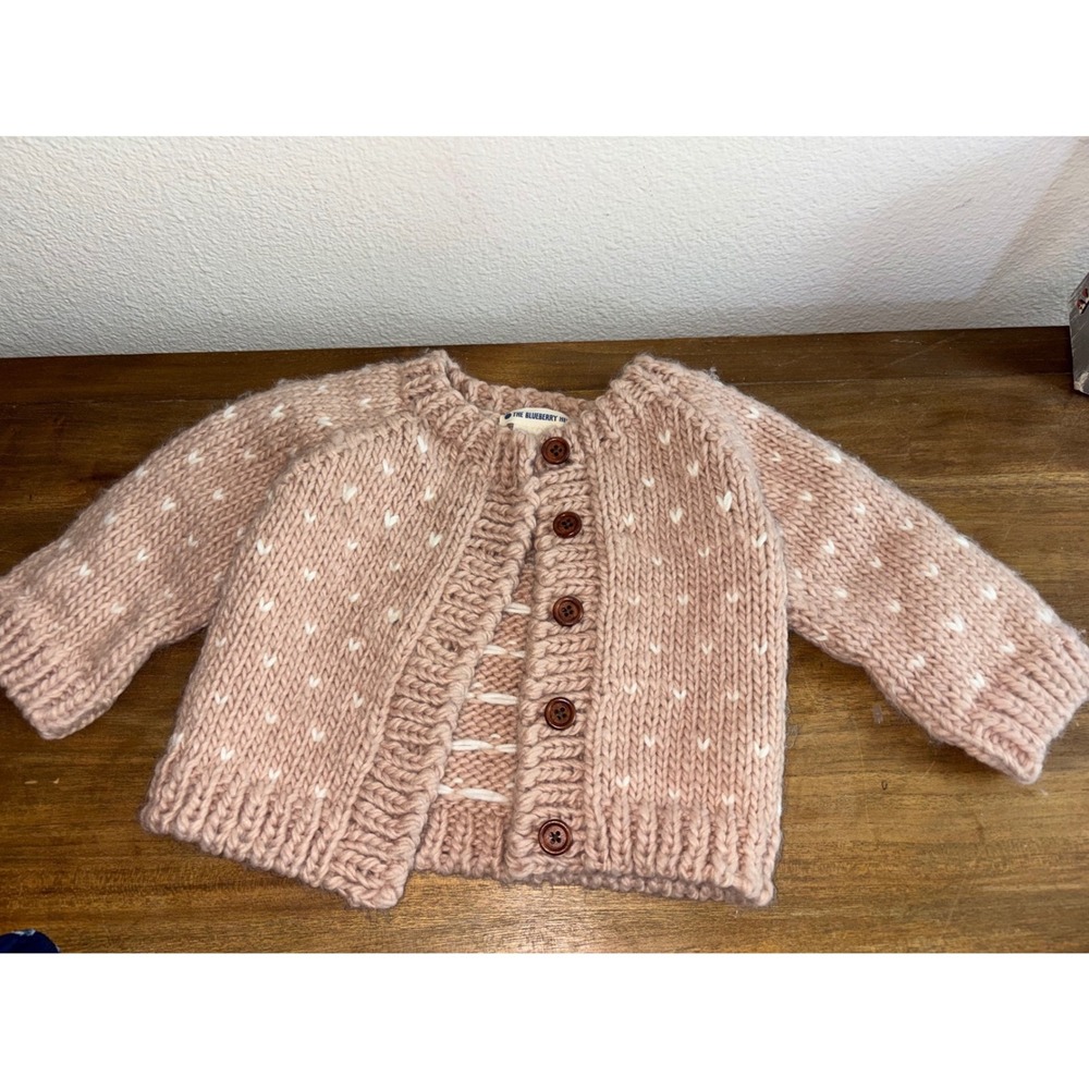 The blueberry hill kids sweater 2-4
